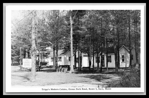 Post card tripp s - post, modern
