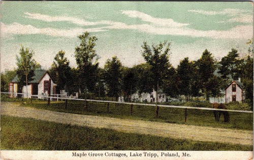 Poland maine maple grove - maple,